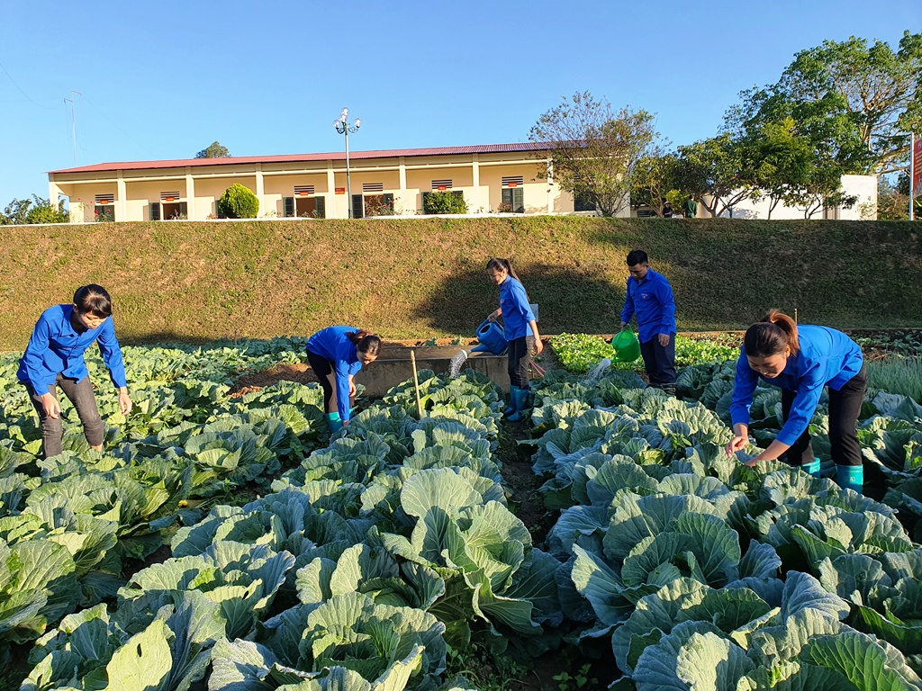 Trí thức trẻ tình nguyện mong tiếp tục được cống hiến